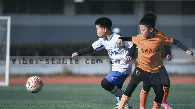 检查网络、调好麦克风、打开记事本，准备联系。