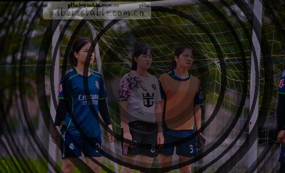 卡片1展示：团队围坐会议桌，白板上贴满彩色便签纸。